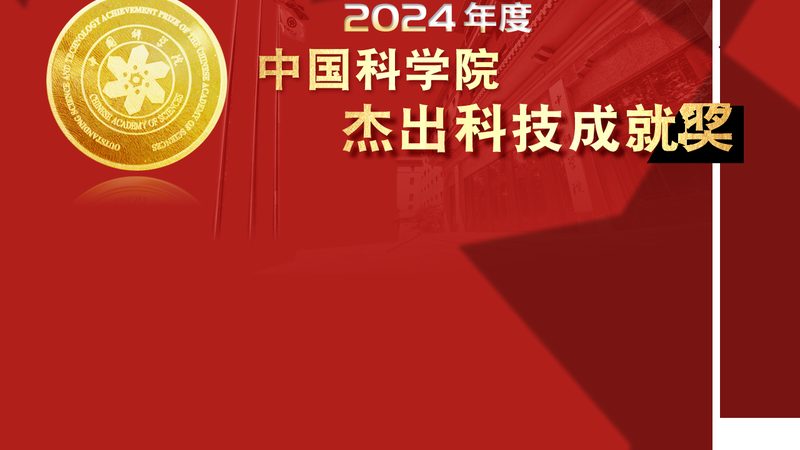商业智能项目团队：人员配置的关键要素