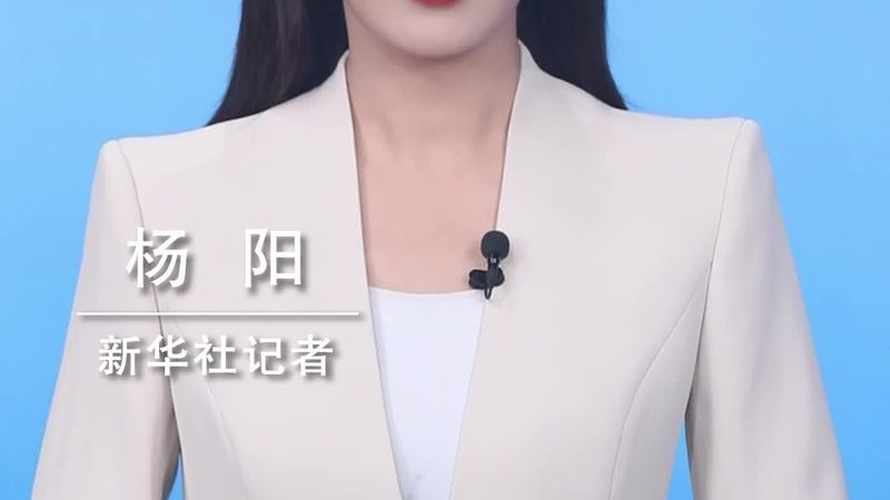 智能客服数据分析方案：揭秘高效服务背后的流程
